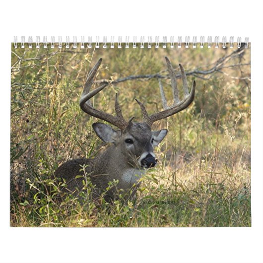 Henry's Wildlife 2008 - Gepersonaliseerd Kalender (Hoes)