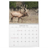 Henry's Wildlife 2008 - Gepersonaliseerd Kalender (Feb 2027)