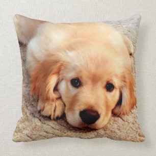 Henry's World Today Golden Retriever Pillow Kussen