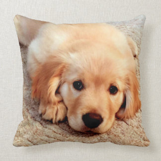 Henry's World Today Golden Retriever Pillow Kussen