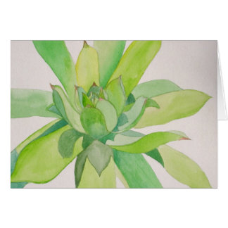 "Hens and Chicks Card"