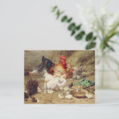 Hens die met hun kippen worstelen briefkaart (Staand voorkant)