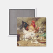 Hens die met hun kippen worstelen magneet (Voorkant / Achterkant)