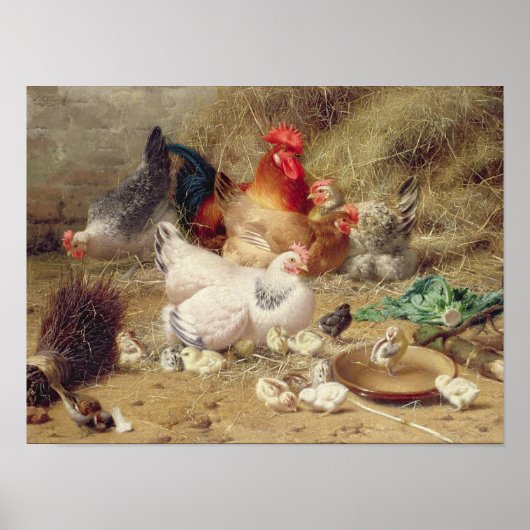 Hens die met hun kippen worstelen poster (Voorkant)