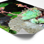 Hens en kippen in Bloom Print of Poster (Hoek)