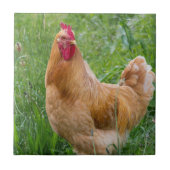 hens foto tegeltje (Voorkant)