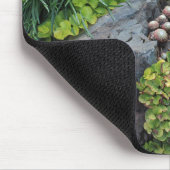 Hens n Chicks Creeping Jenny Muismat (Hoek)