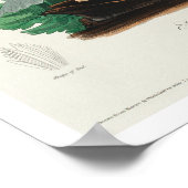 Henslow's Bunting door Poster van Audubon (Hoek)