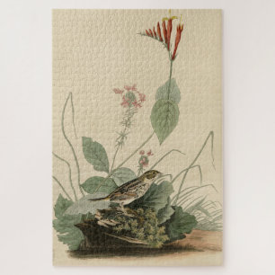 Henslow's Bunting (Sparrow), Audubon Birds America Legpuzzel