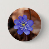 Hepatica (Hepatica nobilis) Ronde Button 5,7 Cm (Voorkant)