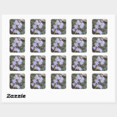 Hepatica Wilde Plant Vierkante Sticker (Vel)