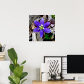 Hepatica Wilde Poster (Thuiskantoor)