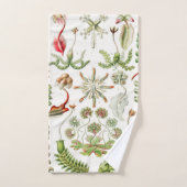 Hepaticae Lebermose door Ernst Haeckel Bad Handdoek (Handdoek)