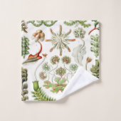 Hepaticae Lebermose door Ernst Haeckel Bad Handdoek (Wasdoekje)