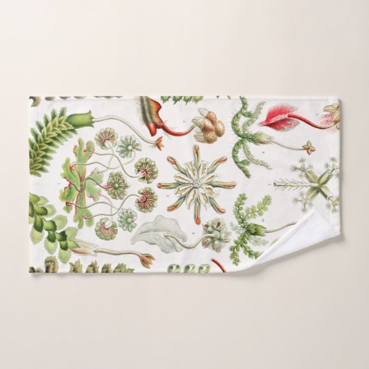 Hepaticae Lebermose door Ernst Haeckel Bad Handdoek (Handdoek)