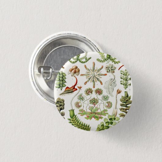 Hepaticae Lebermose door Ernst Haeckel Ronde Button 3,2 Cm (Voorkant /achterkant)