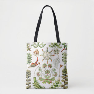 Hepaticae Lebermose door Ernst Haeckel Tote Bag