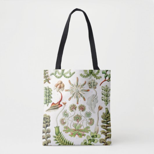Hepaticae Lebermose door Ernst Haeckel Tote Bag (Voorkant)