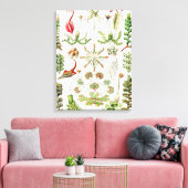Hepaticae Levermossen door Ernst Haeckel Canvas Afdruk (Insitu (Woonkamer))