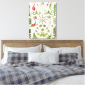 Hepaticae Levermossen door Ernst Haeckel Canvas Afdruk (Insitu (Slaapkamer))