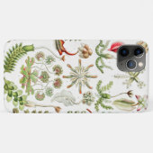 Hepaticae Levermossen door Ernst Haeckel Case-Mate iPhone Case (Achterkant (horizontaal))