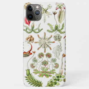 Hepaticae Levermossen door Ernst Haeckel Case-Mate iPhone Case