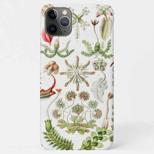 Hepaticae Levermossen door Ernst Haeckel Case-Mate iPhone Case (Achterkant)