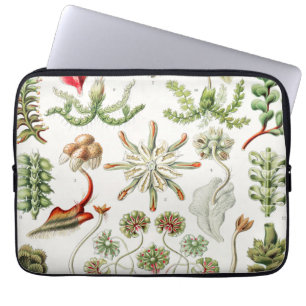 Hepaticae Levermossen door Ernst Haeckel Laptop Sleeve