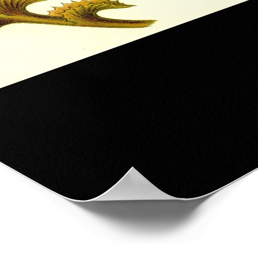 Hepaticae-Marchantia - Bord 82 - Kunstformen der. Poster (Hoek)