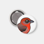 Hepatische tanager magneet (Voorkant / Achterkant)