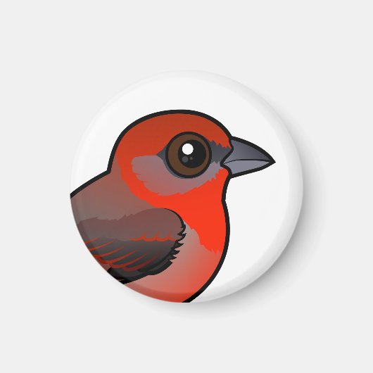 Hepatische tanager magneet (Voorkant)