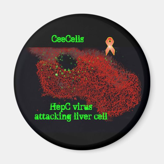 HepC-virus aanvallende levercel Magneet (Voorkant)