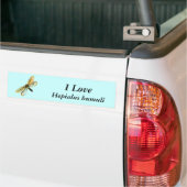 Hepialus humuli vrouw - Ghost Moth of Ghost Swift Bumpersticker (Op Truck)