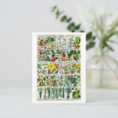 Heptandria Floral Botanical Chart Briefkaart (Staand voorkant)