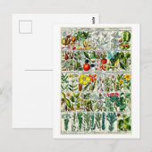 Heptandria Floral Botanical Chart Briefkaart (Voorkant / Achterkant)