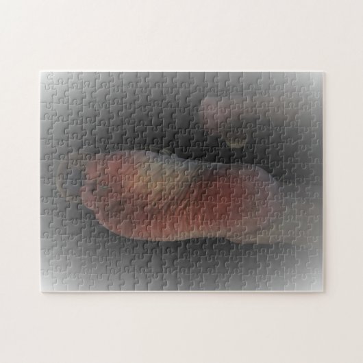 HER SOLE LEGPUZZEL (Horizontaal)