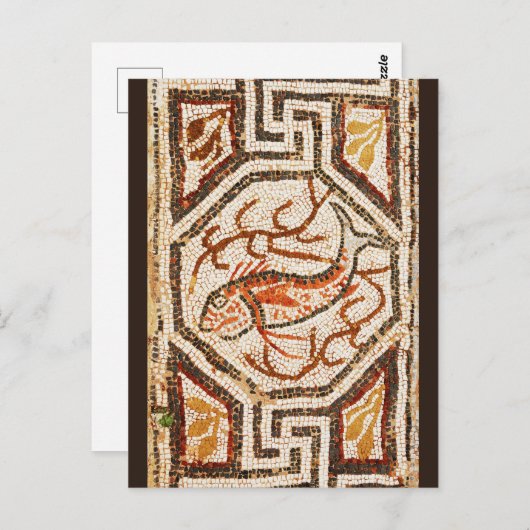 Heraclea Fish Mosaic Briefkaart (Voorkant / Achterkant)