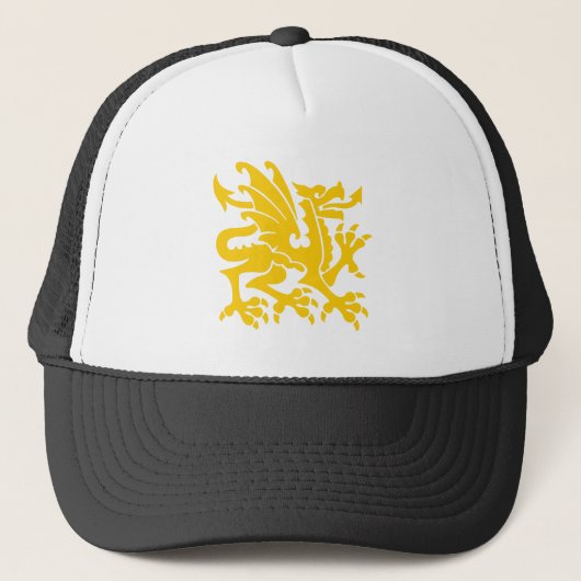 Heraldic Dragon 01 - Amber Trucker Pet (Voorkant)