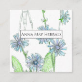 Herb Boerderij Cichorei medicinale Planten Visitek Vierkante Visitekaartje (Voorkant)