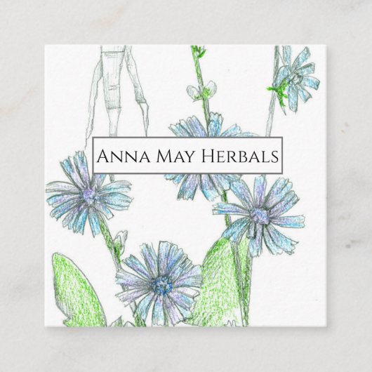 Herb Boerderij Cichorei medicinale Planten Visitek Vierkante Visitekaartje (Voorkant)