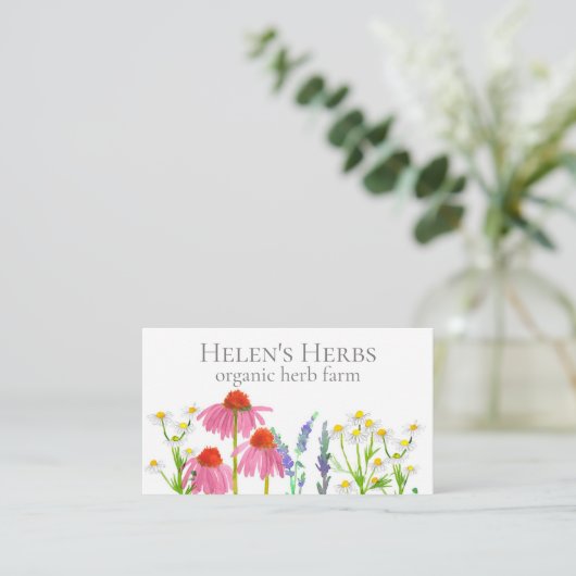 Herb Boerderij Echinacea Geneesmiddel in de culina Visitekaartje (Staand voorkant)