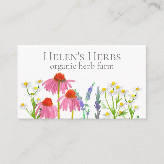 Herb Boerderij Echinacea Geneesmiddel in de culina Visitekaartje (Voorkant)