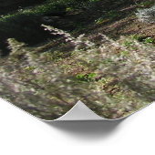 Herb Boerderij Poster (Hoek)