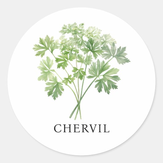 Herb Chervil Waterverf Ronde Sticker (Voorkant)