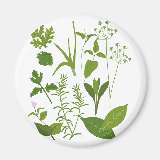 Herb Collectie Magnet (Voorkant)