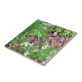 Herb collectie snijdt foto's tegeltje (Zijkant)