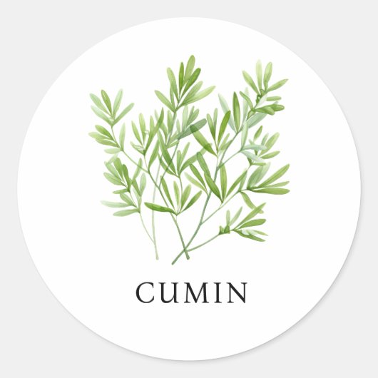 Herb Cumin Waterverf Ronde Sticker (Voorkant)