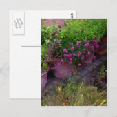 Herb Garden Briefkaart (Voorkant / Achterkant)