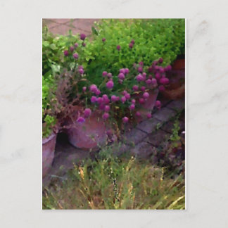 Herb Garden Briefkaart