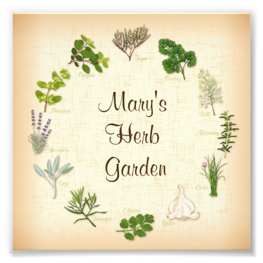 Herb Garden Foto afdrukken (Voorkant)